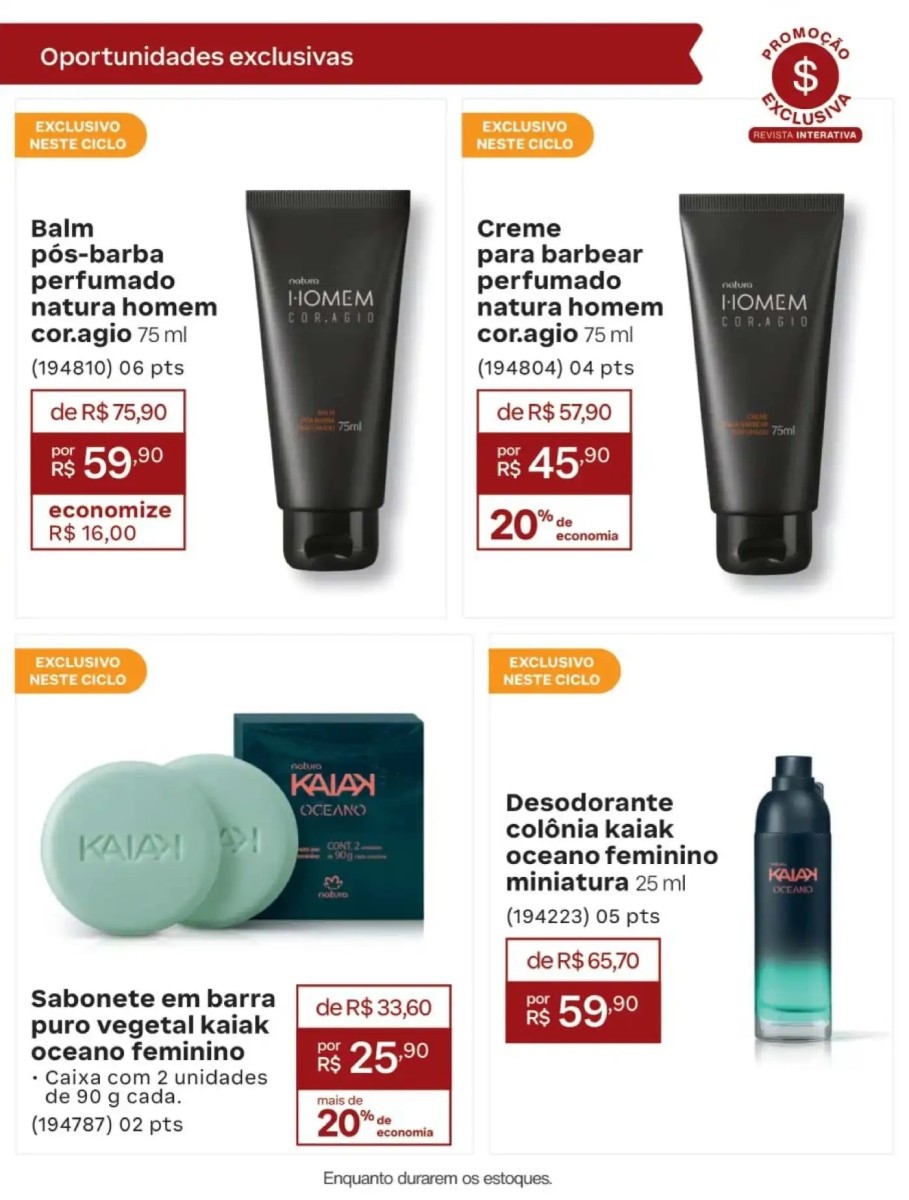 Página 237