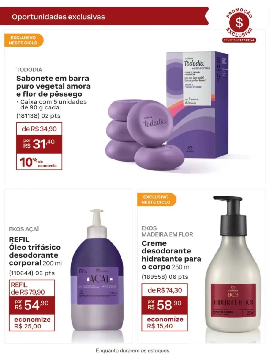 Página 242