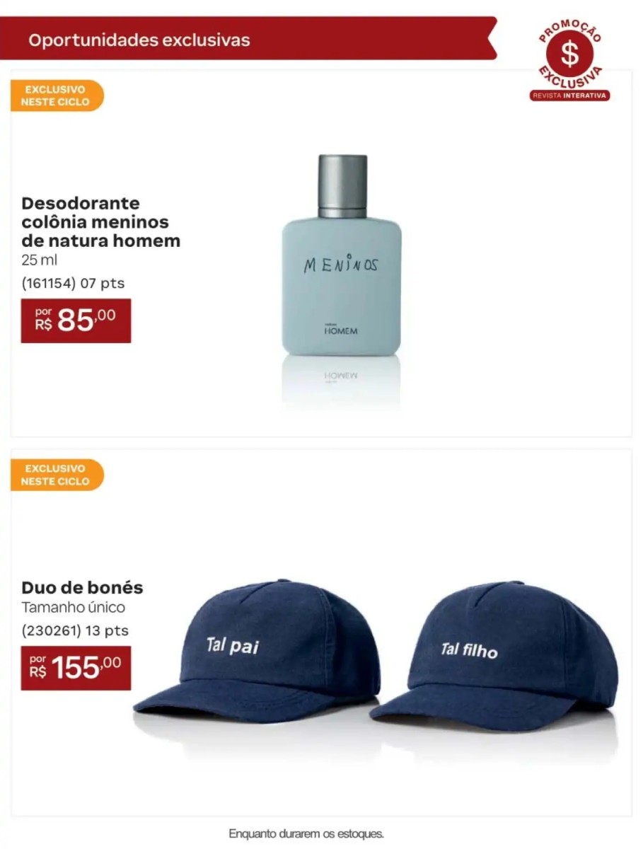 Página 231