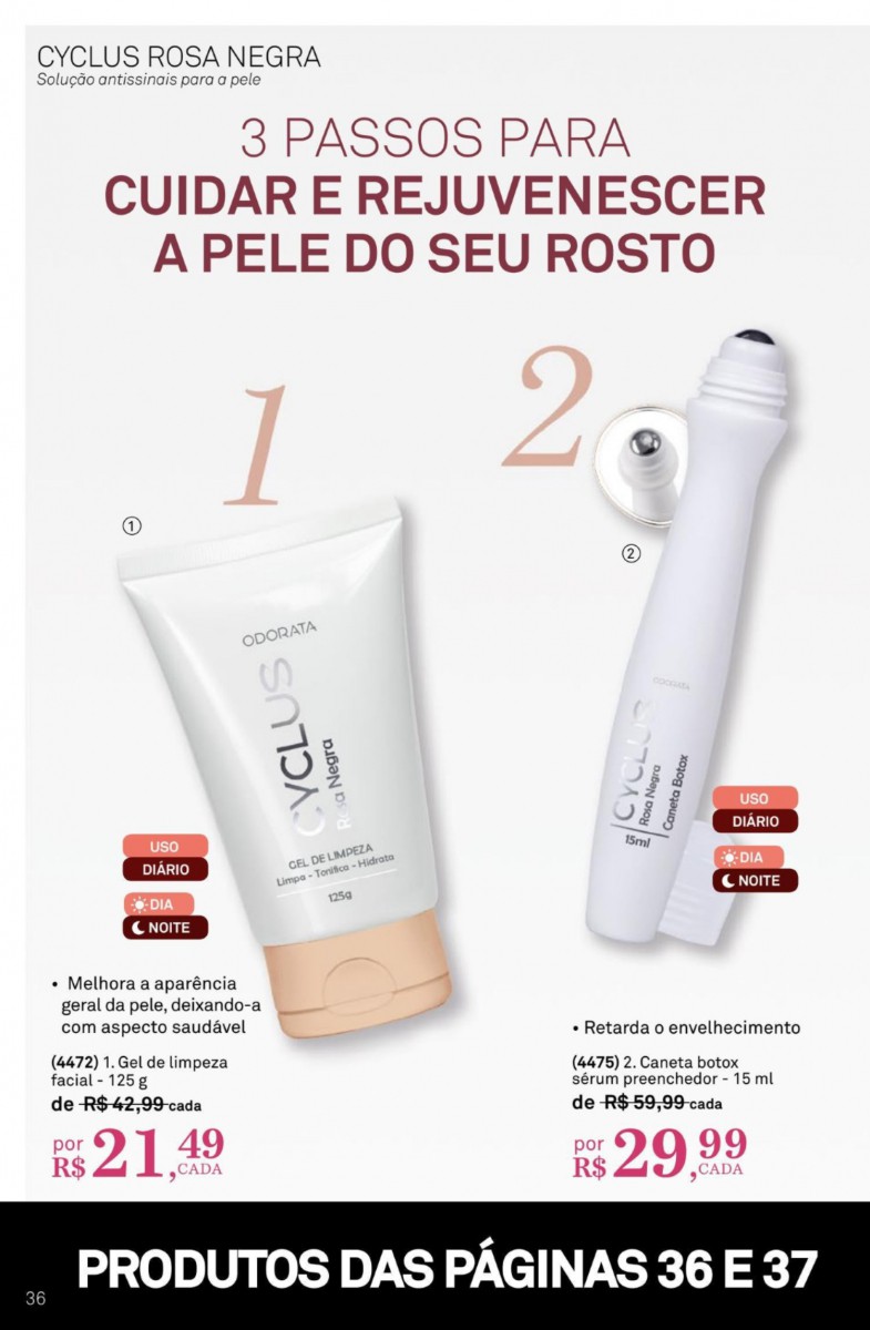 Página 36