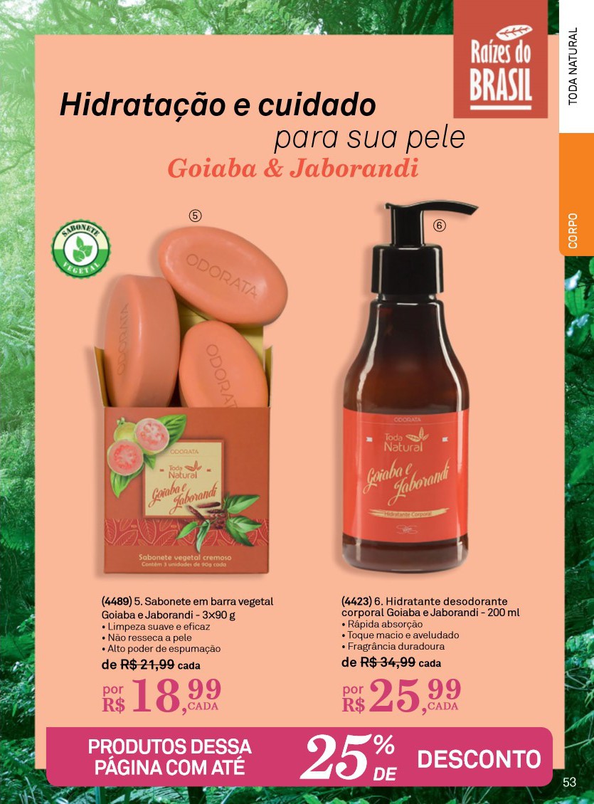 Página 53