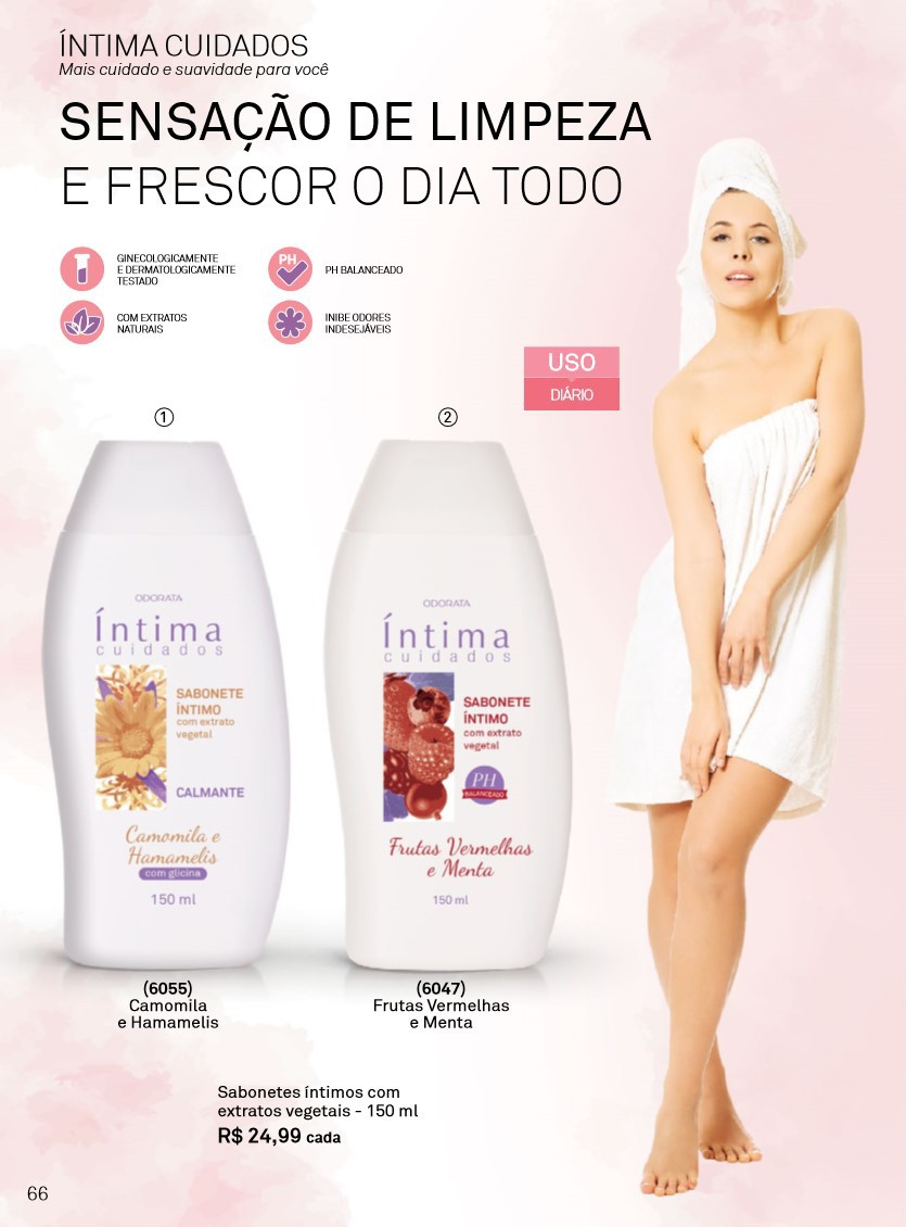 Página 66