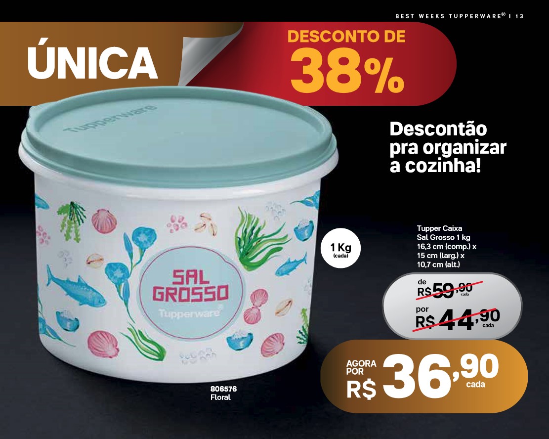 Página 13