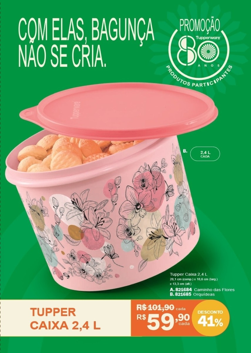 Página 13